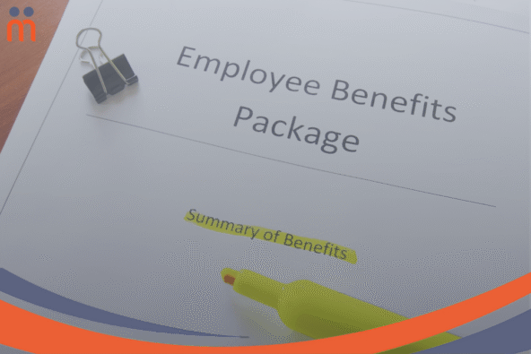 Employment-Status-Canva-Zimmytwss-Images.png